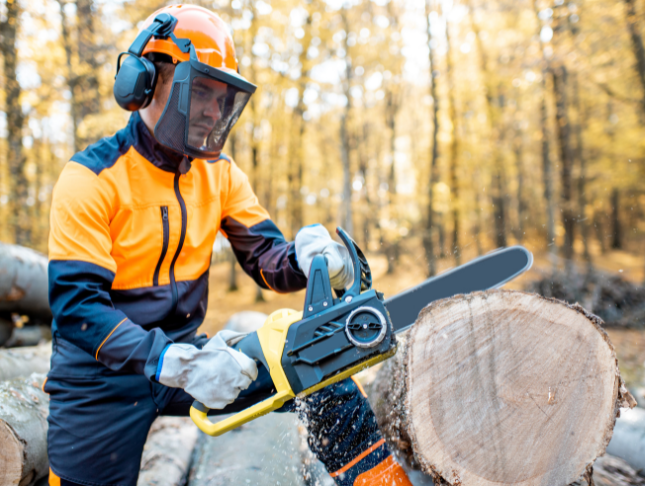 Professional Logger Certification Program