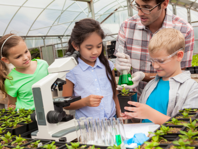 Journey into the Fascinating World of Plant Science