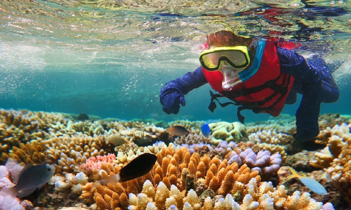 Marine Biology Courses Online