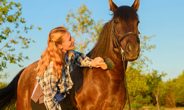 Level 2 Certificate in Horse Care