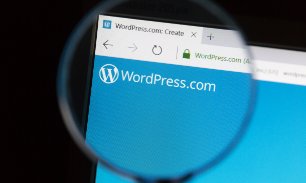 Basics of WordPress: Create Unlimited Websites