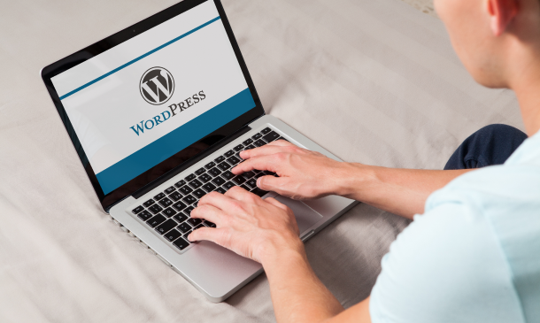 Learn Fundamentals of WordPress