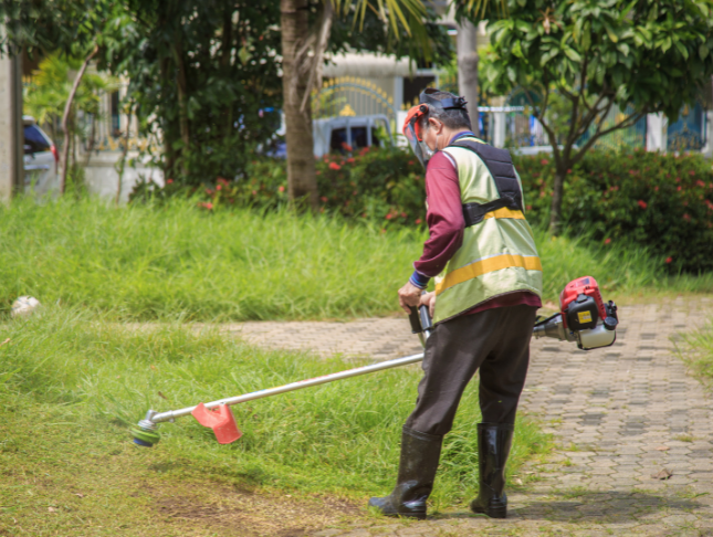 Groundskeeping Techniques: A Comprehensive Guide