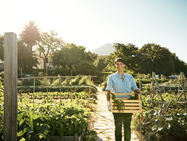 Sustainable Agriculture: From Farm to Fork