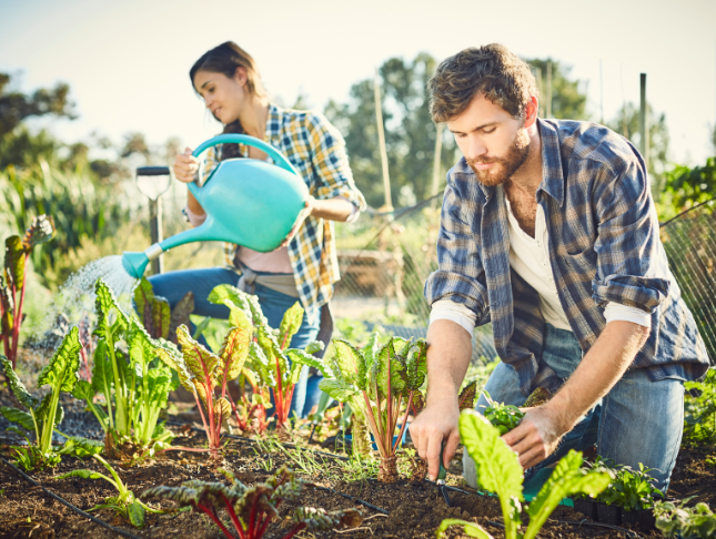 Innovative Organic Farming Techniques Workshop