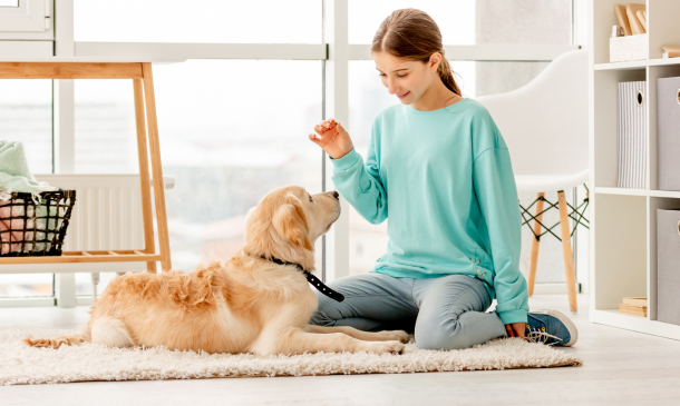 Pet Training Masterclass