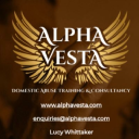 Alpha Vesta CIC logo