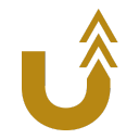 The Unfair Academy logo