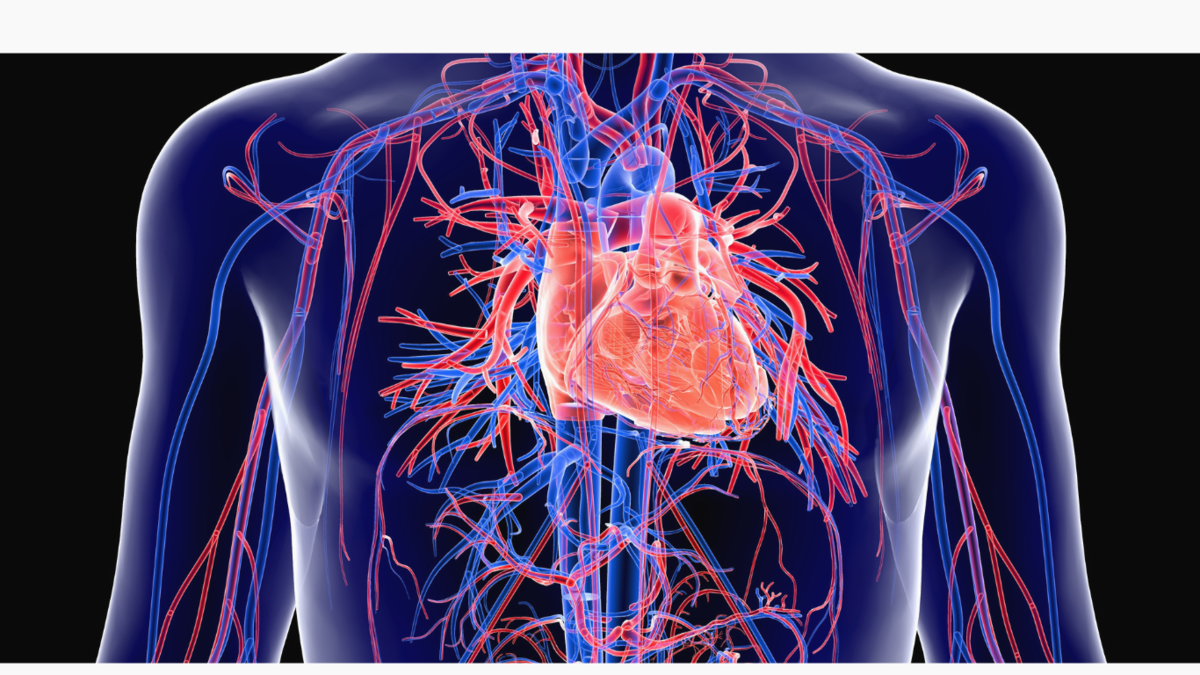 Introduction to Cardiovascular Disease