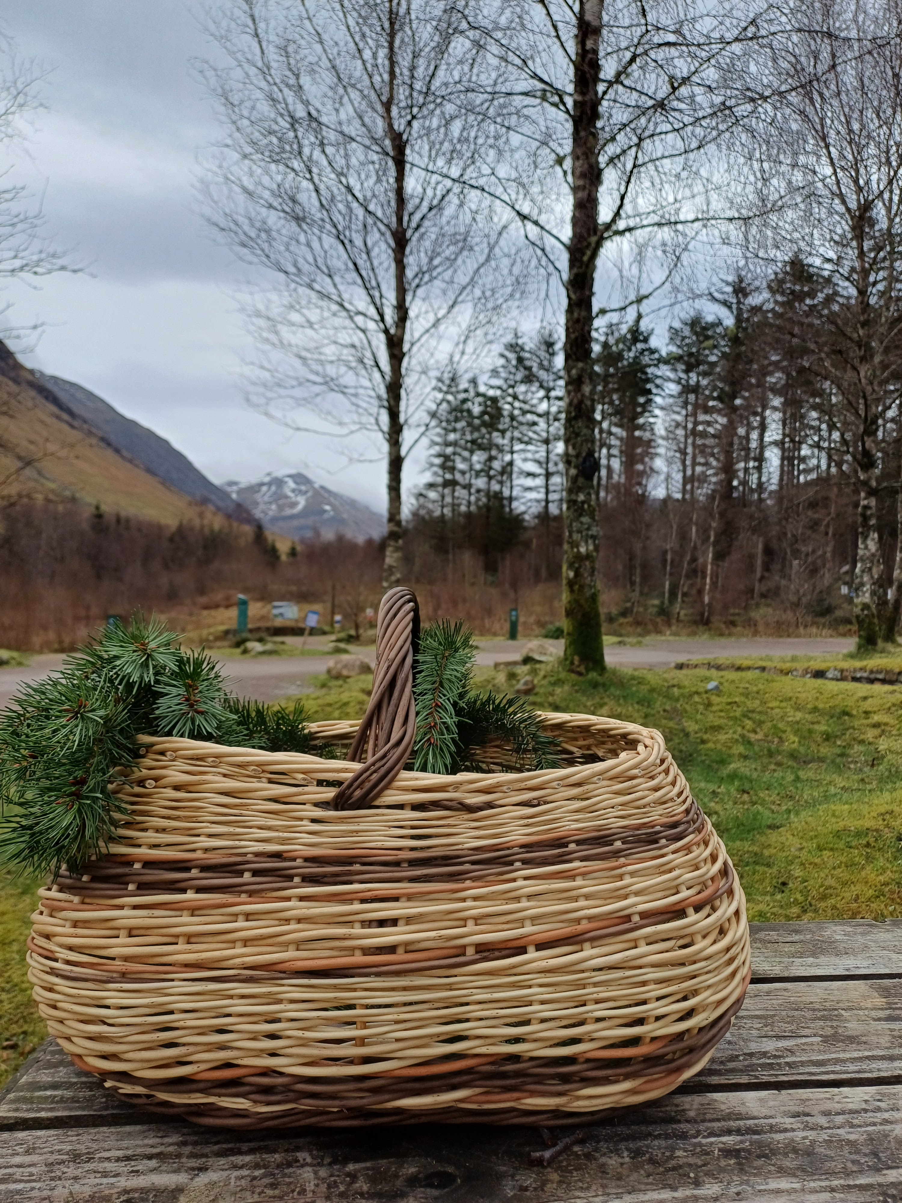 Fort William Mountain Festival Winter Foraging with The Wild Cooke 