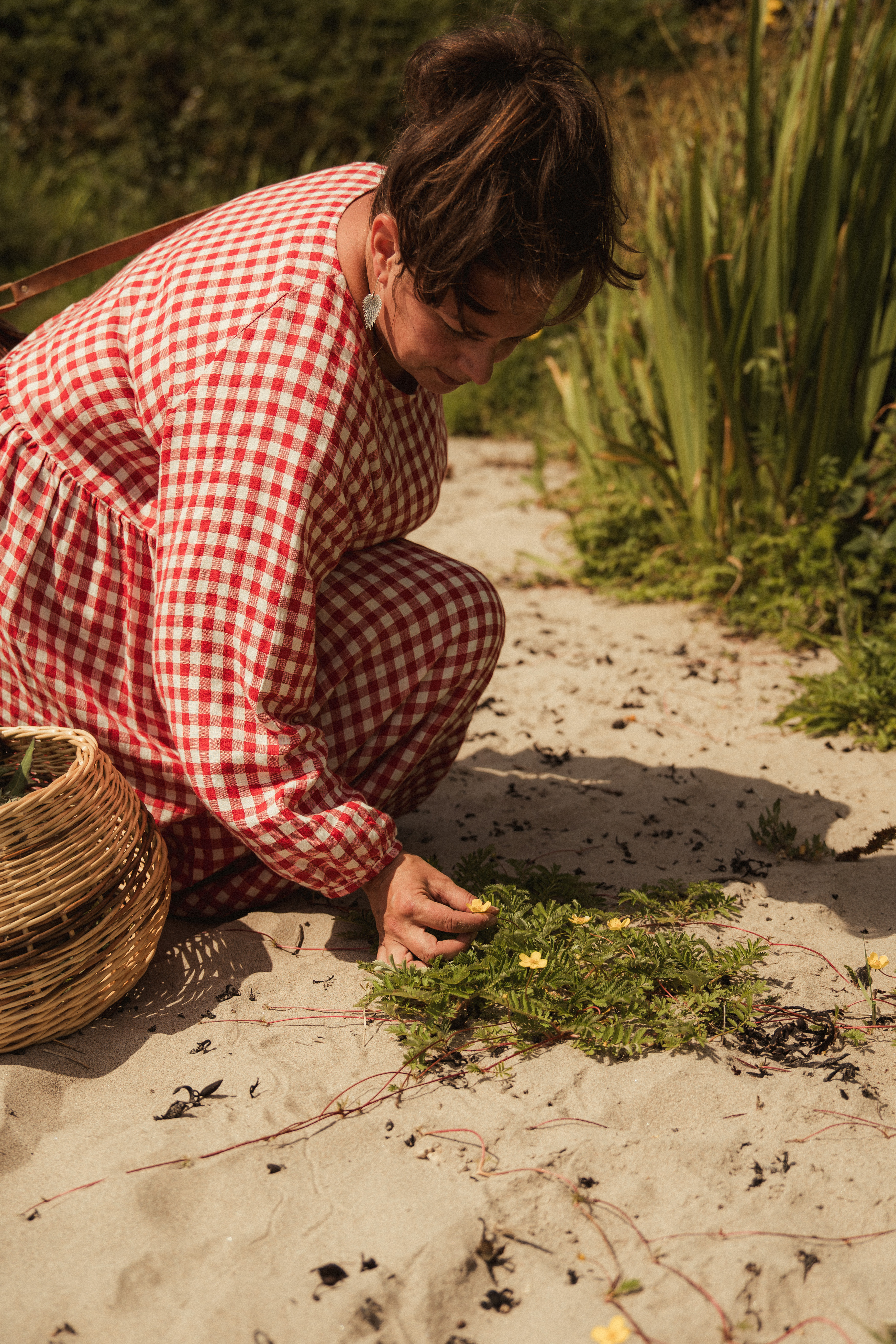 Ballachulish Foraging Workshops with The Wild Cooke (Shorter & Snack)