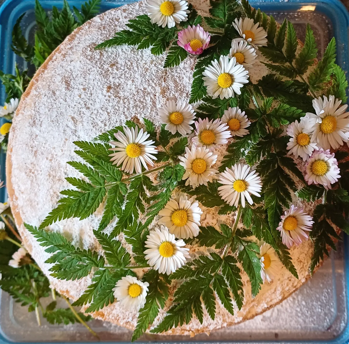 Much Wenlock Introduction to Foraging Workshops with The Wild Cooke (Longer & Lunch)