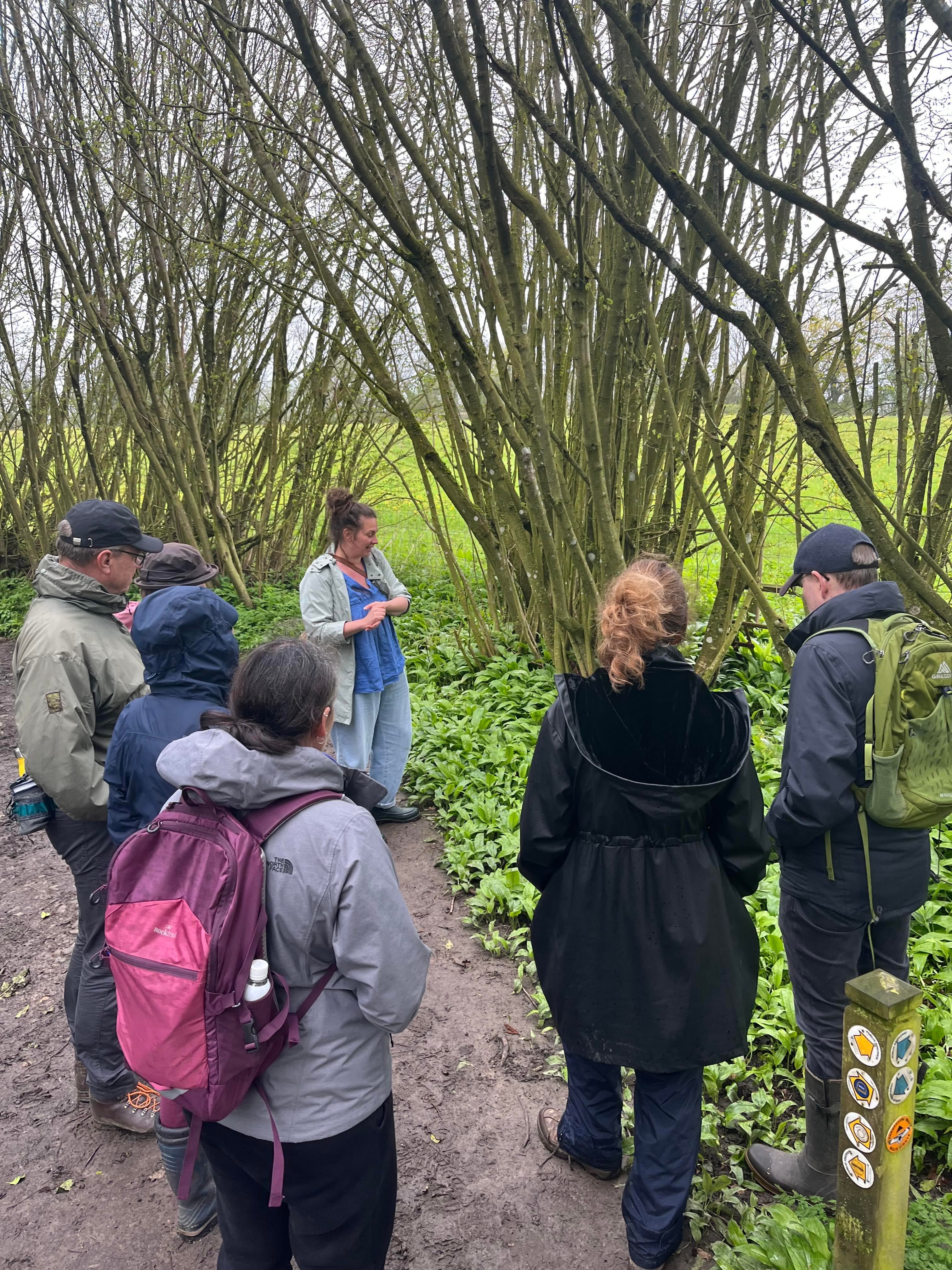 Much Wenlock Introduction to Foraging Workshops with The Wild Cooke (Shorter & Snack)