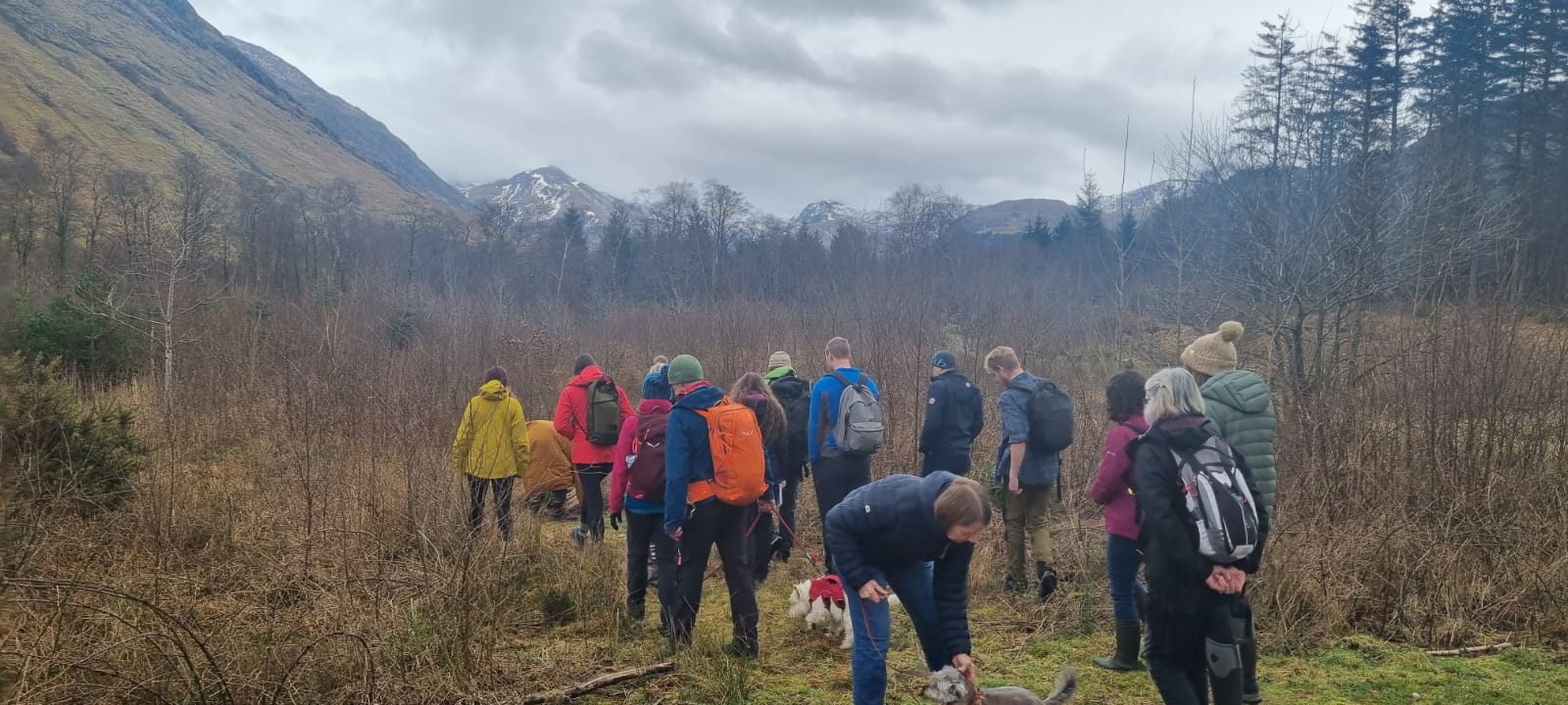 Fort William Mountain Festival Winter Foraging with The Wild Cooke 