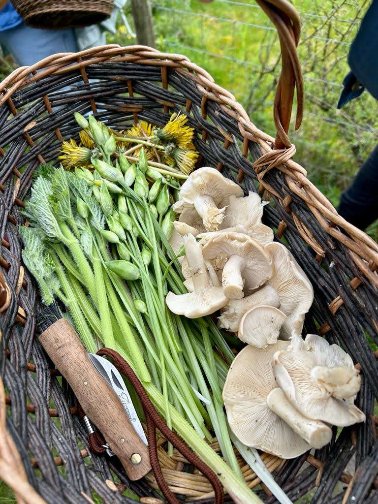 Much Wenlock Introduction to Foraging Workshops with The Wild Cooke (Shorter & Snack)