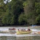 Cotehele Quay Gig Club logo