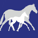 Stretton Hall Stud logo