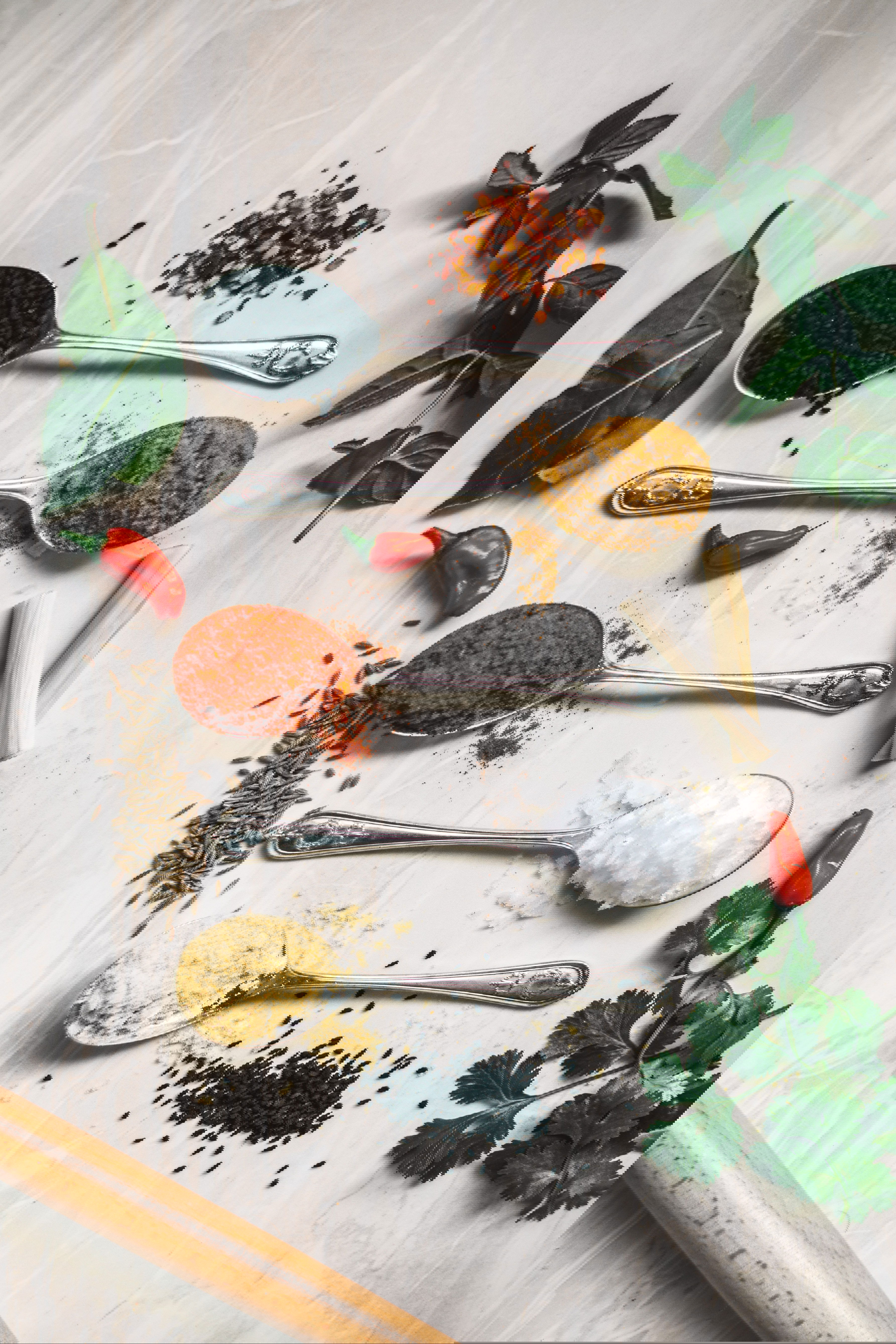 Kitchen Cupboard Herbs for Winter Wellness w/ Learn Botanics.