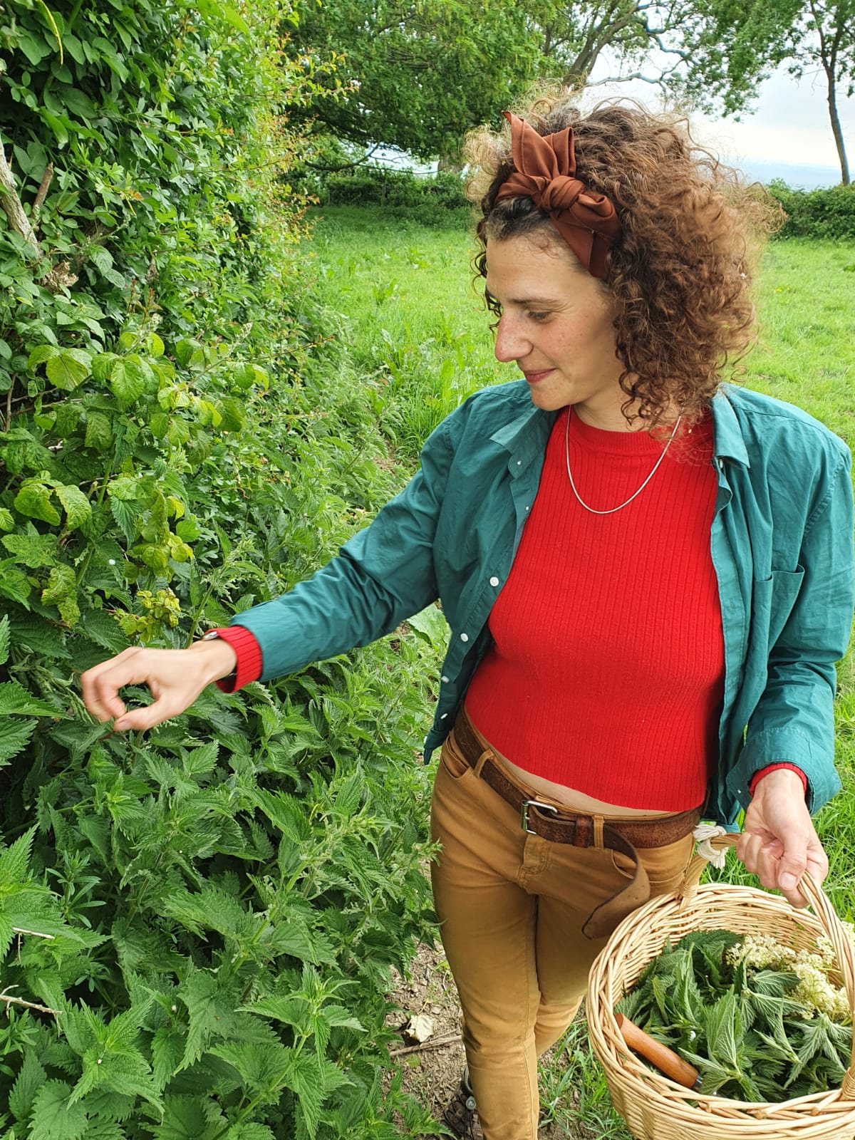 Build a Herbal Toolkit for the Skin w/ Learn Botanics.
