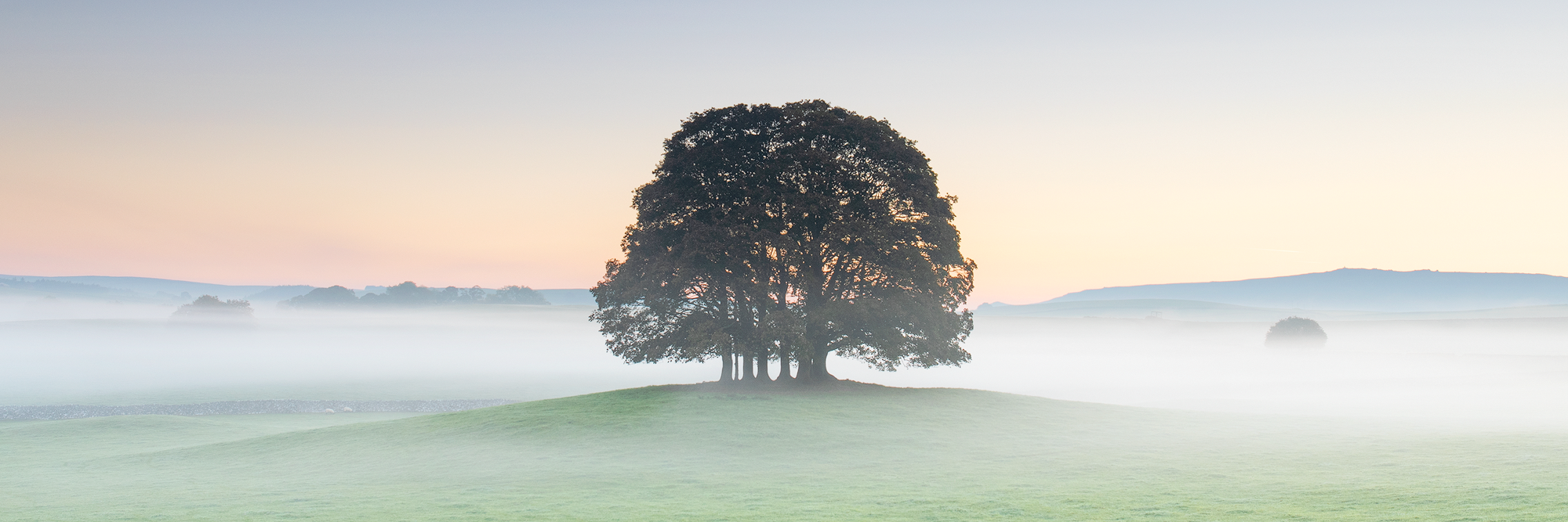 David Speight | Yorkshire Photography Workshops