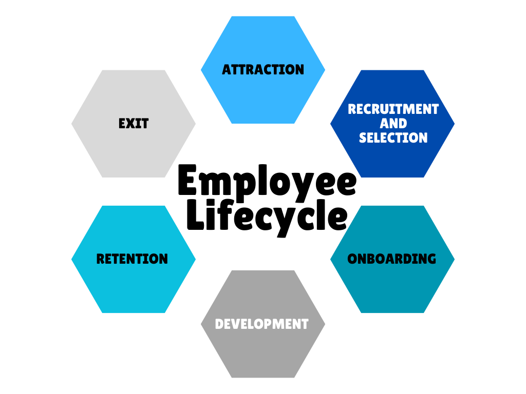 Employee Lifecycle