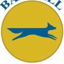 Barwell Cricket Club logo