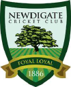 Newdigate Cricket Club logo