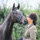 Oakring Stud And Performance Horses Equestrian Centre logo