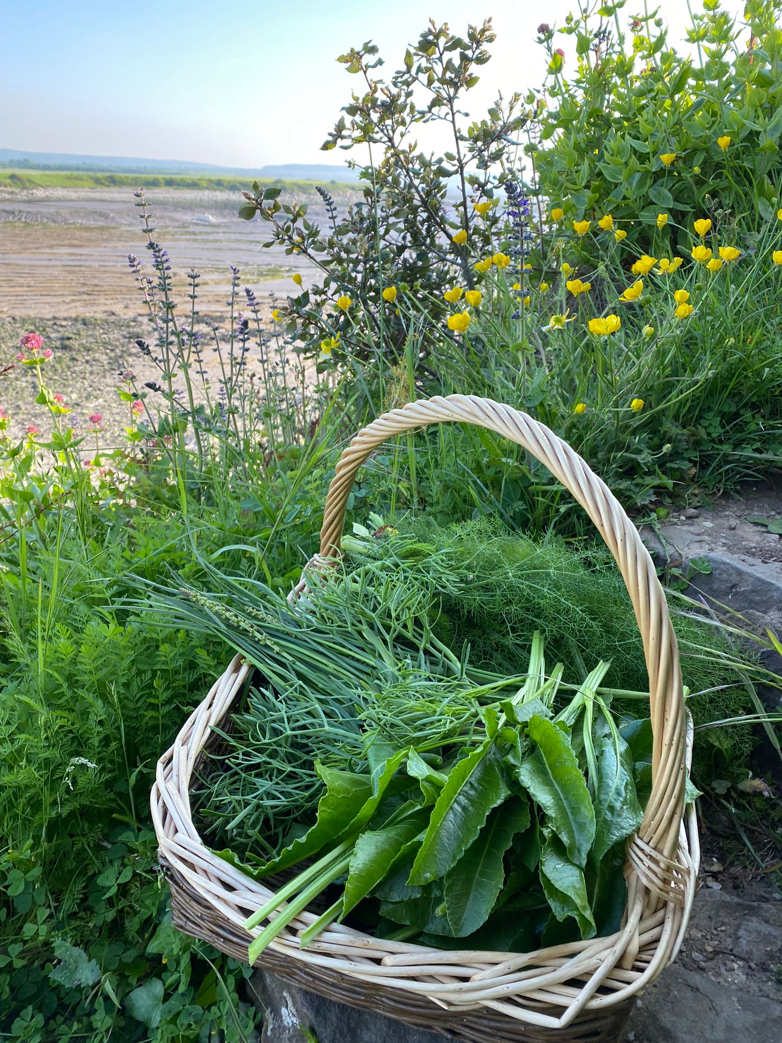 Spring Herbs, Foraging & Fermentation April 2025