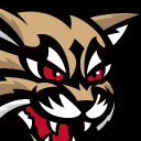 The Blitz (Highland Wildcats American Football) logo