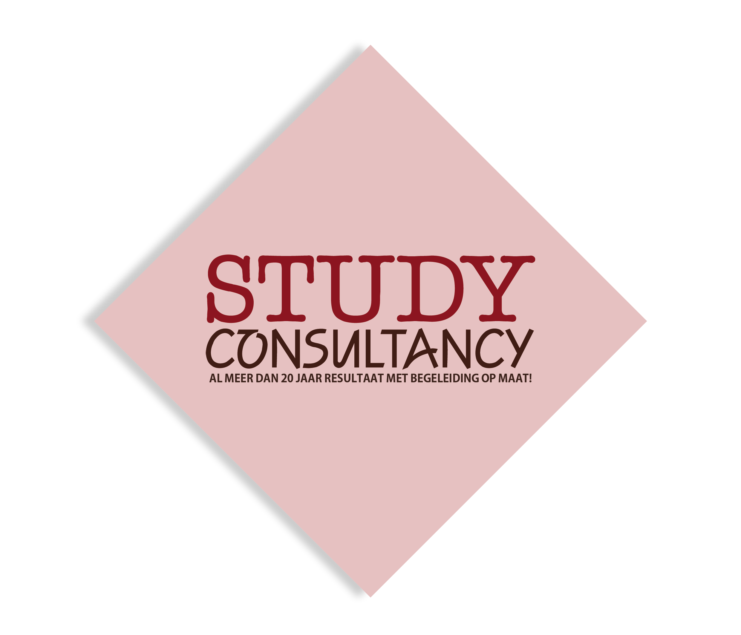 Study Consultancy logo