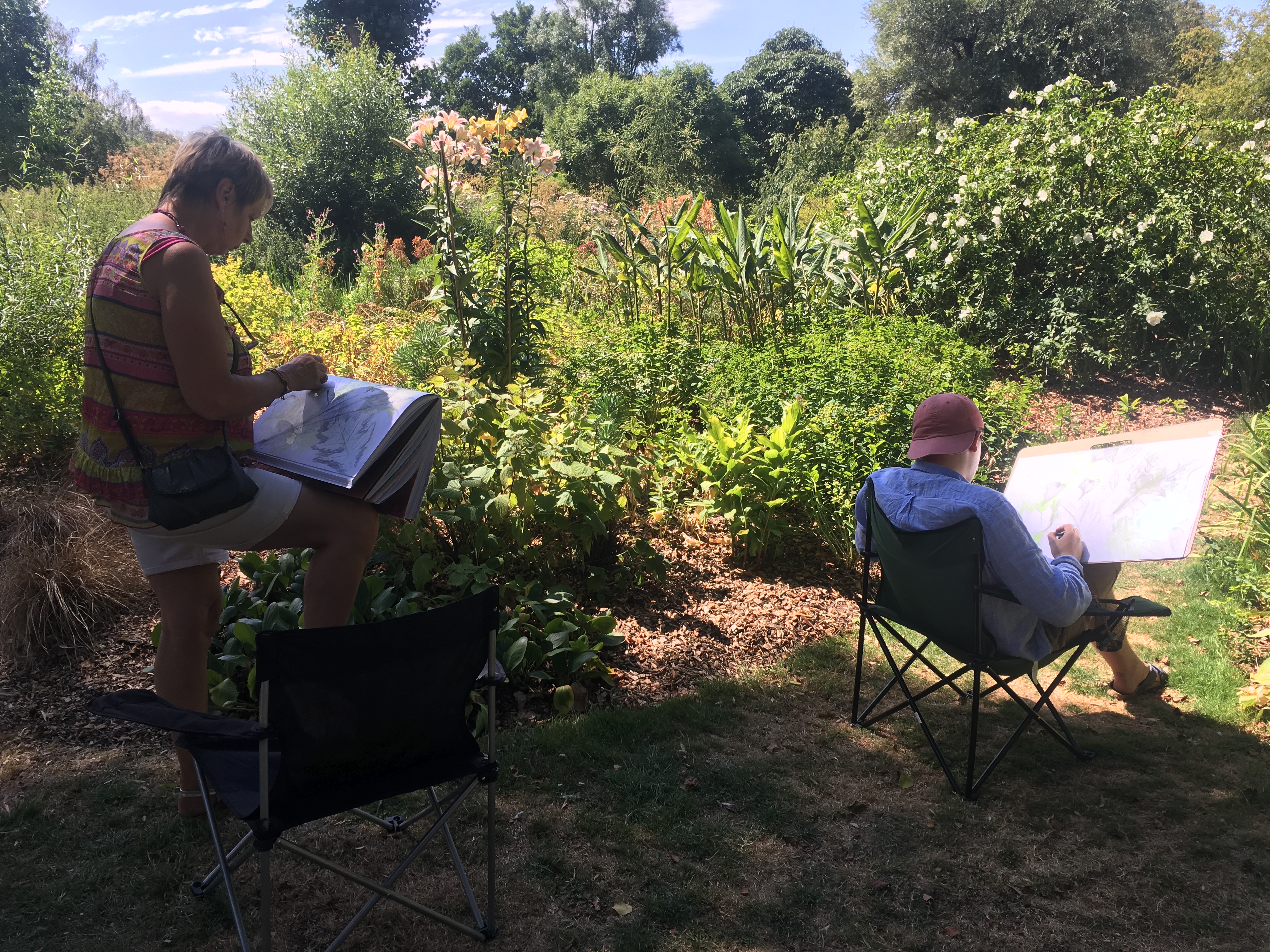 Wet cyanotypes: Artful Botanics Summer Term at Norfolk School of Gardening