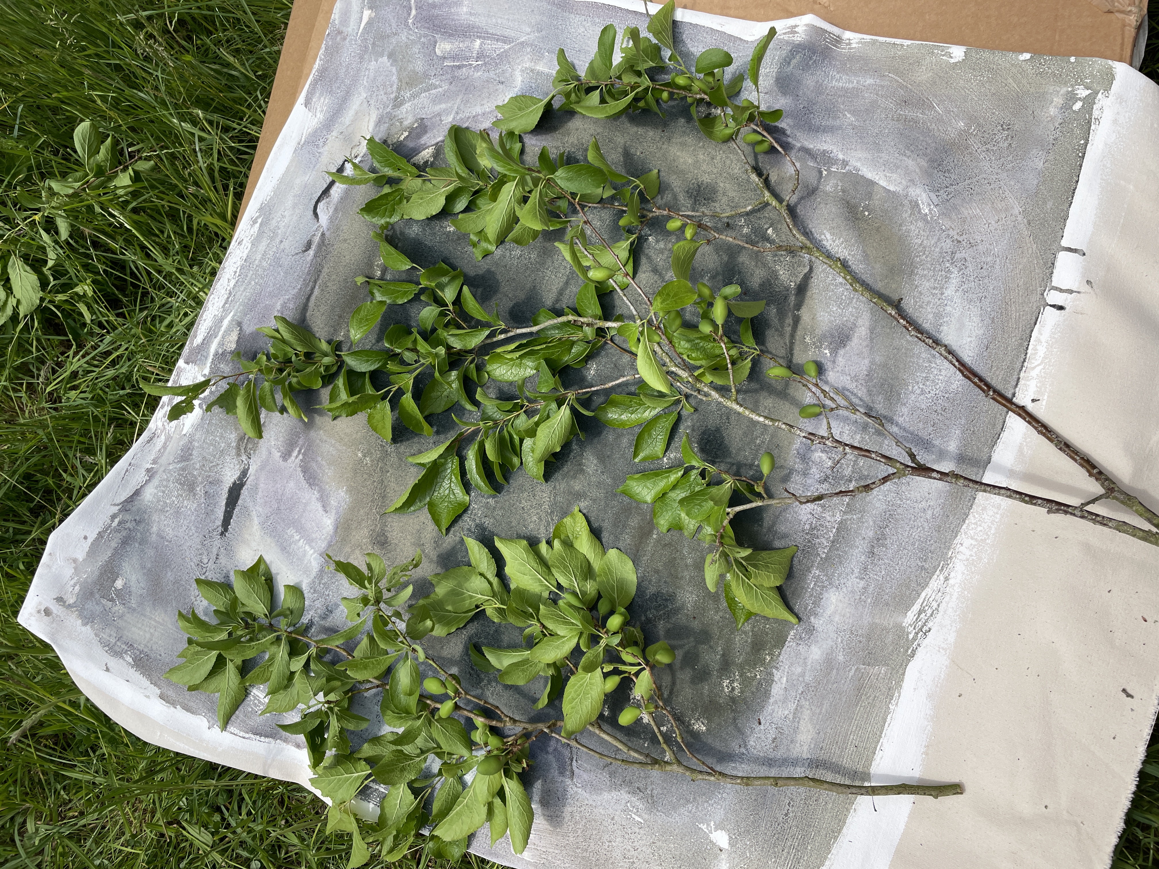 Artful Cyanotypes - Cyanotypes on fabric and playing with pattern