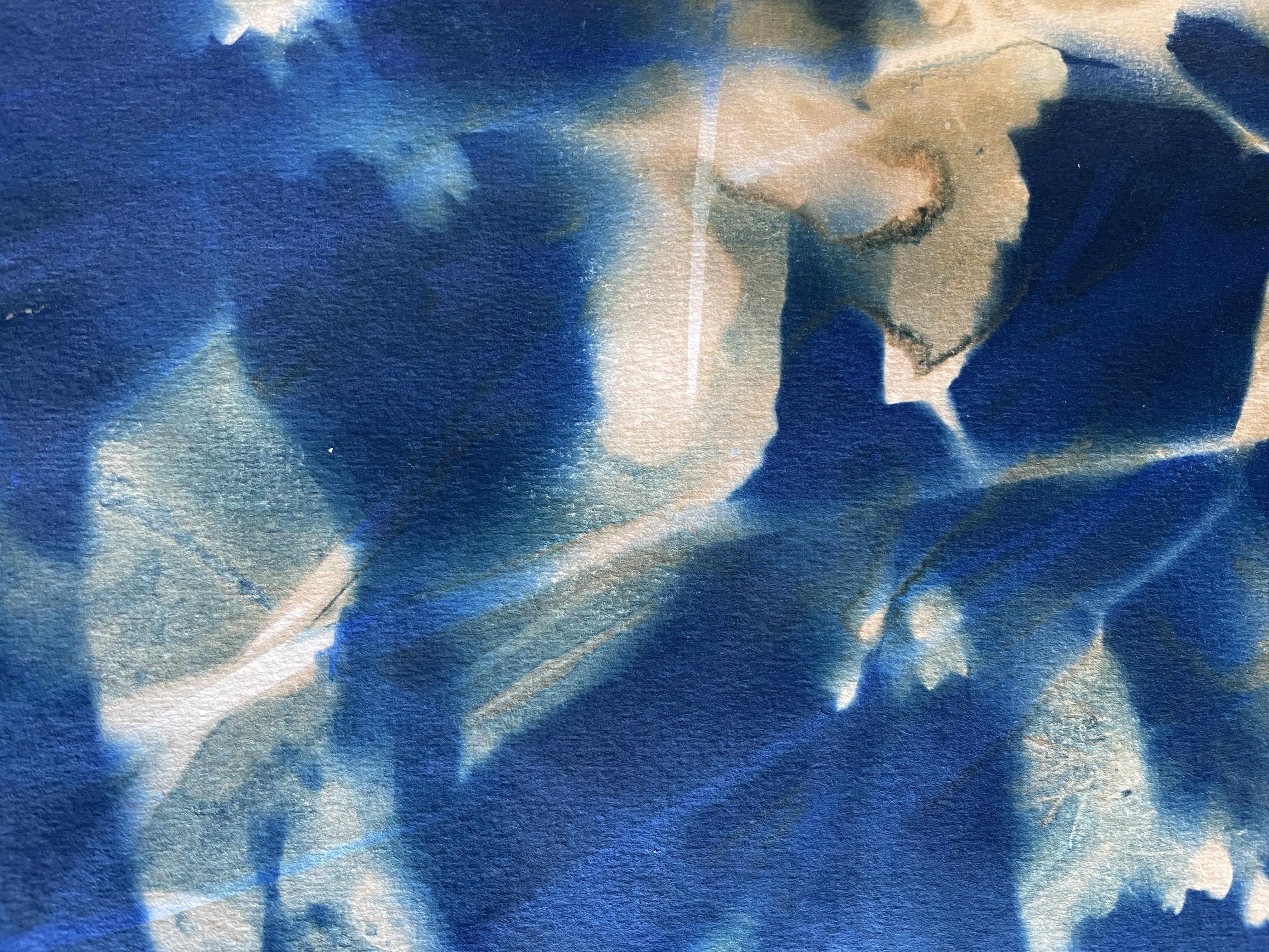 Artful Cyanotypes - Photograms, toning and double exposures