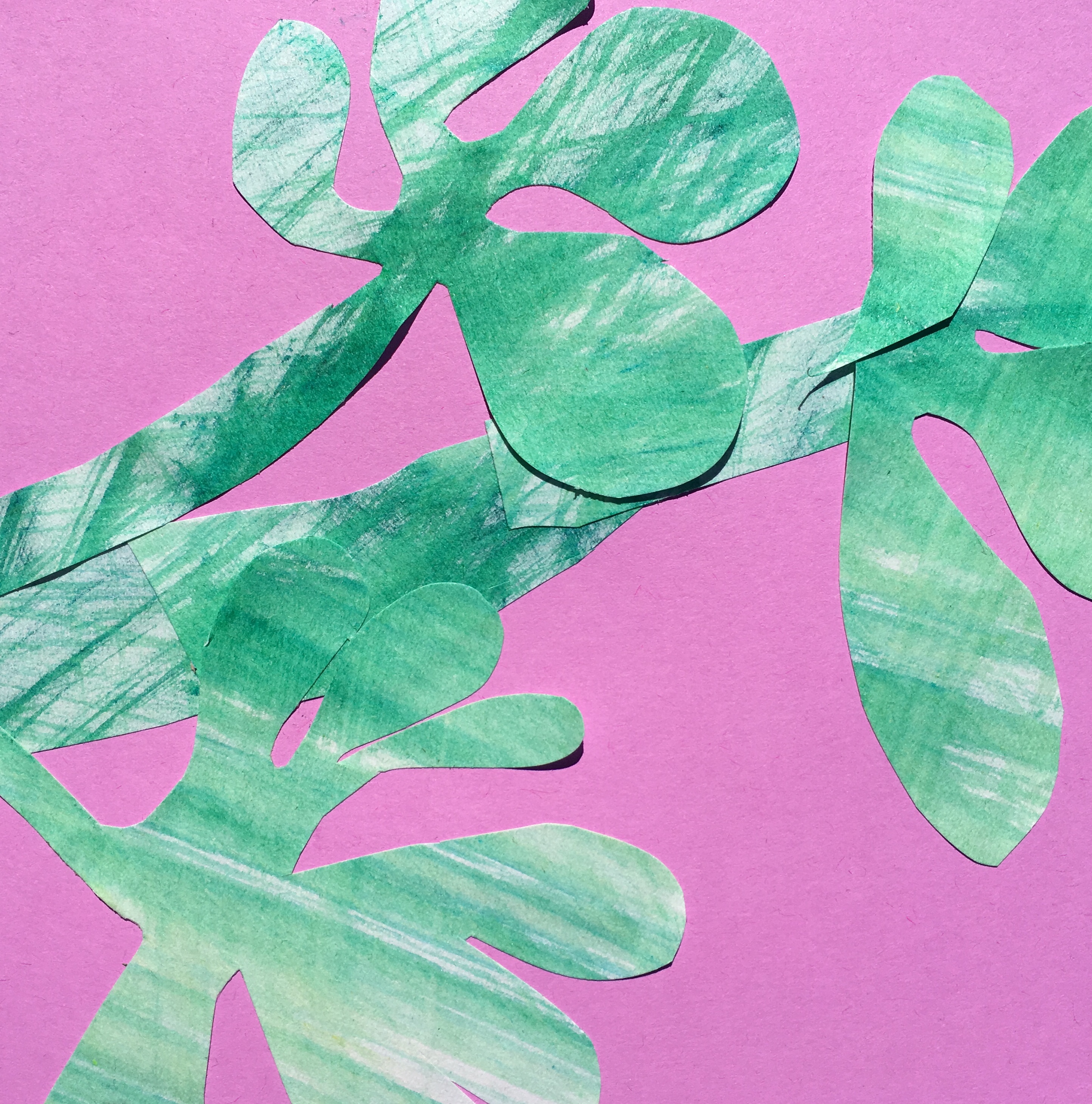 Wet cyanotypes: Artful Botanics Summer Term at Norfolk School of Gardening