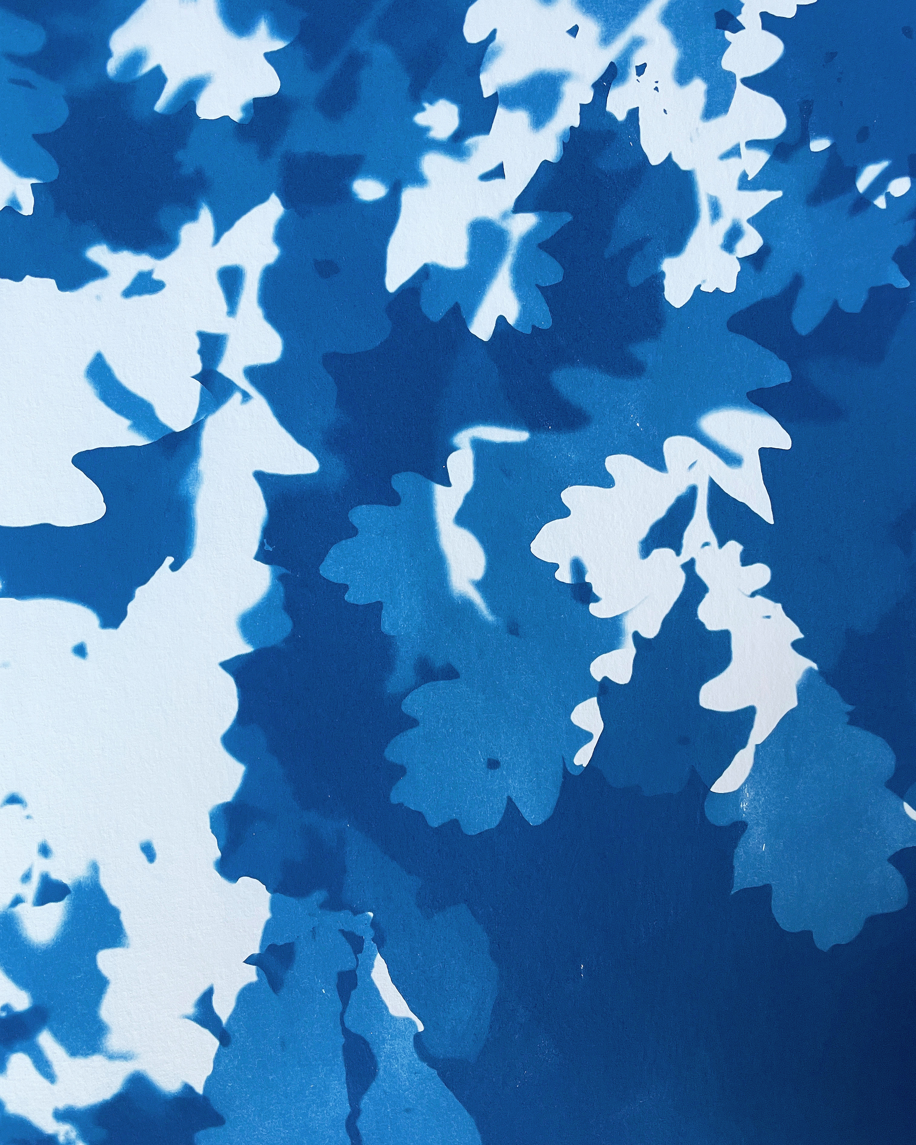 Artful Cyanotypes - Photograms, toning and double exposures