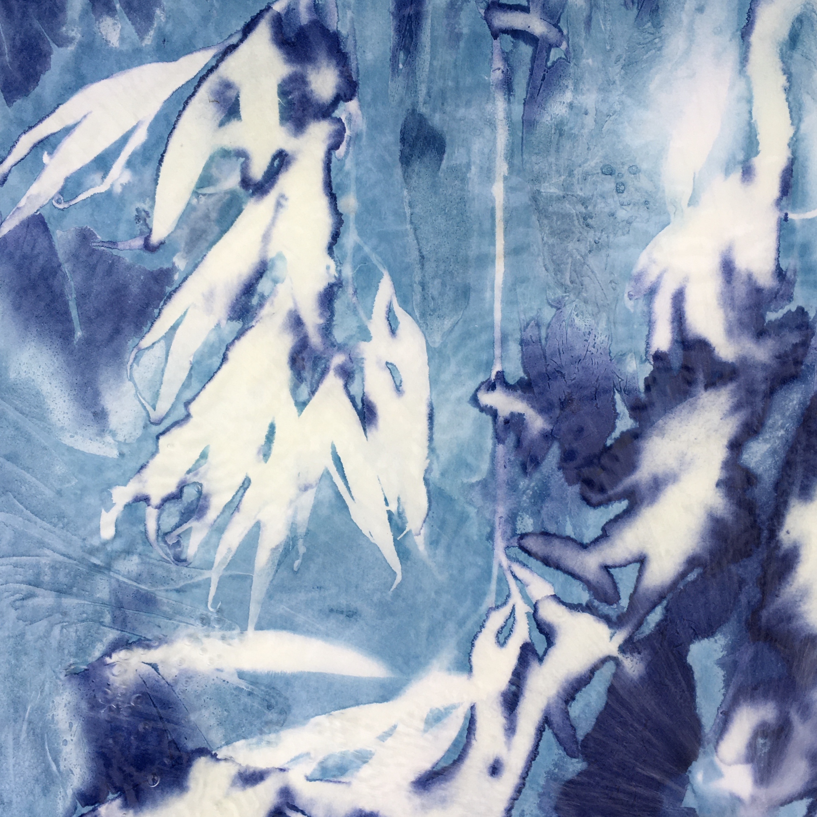 Artful Cyanotypes - Wet Cyanotypes and creating colours