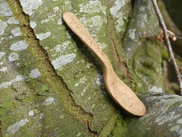 One Day Wood Spoon Carving Workshop