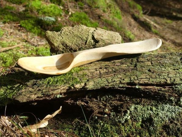 One Day Wood Spoon Carving Workshop