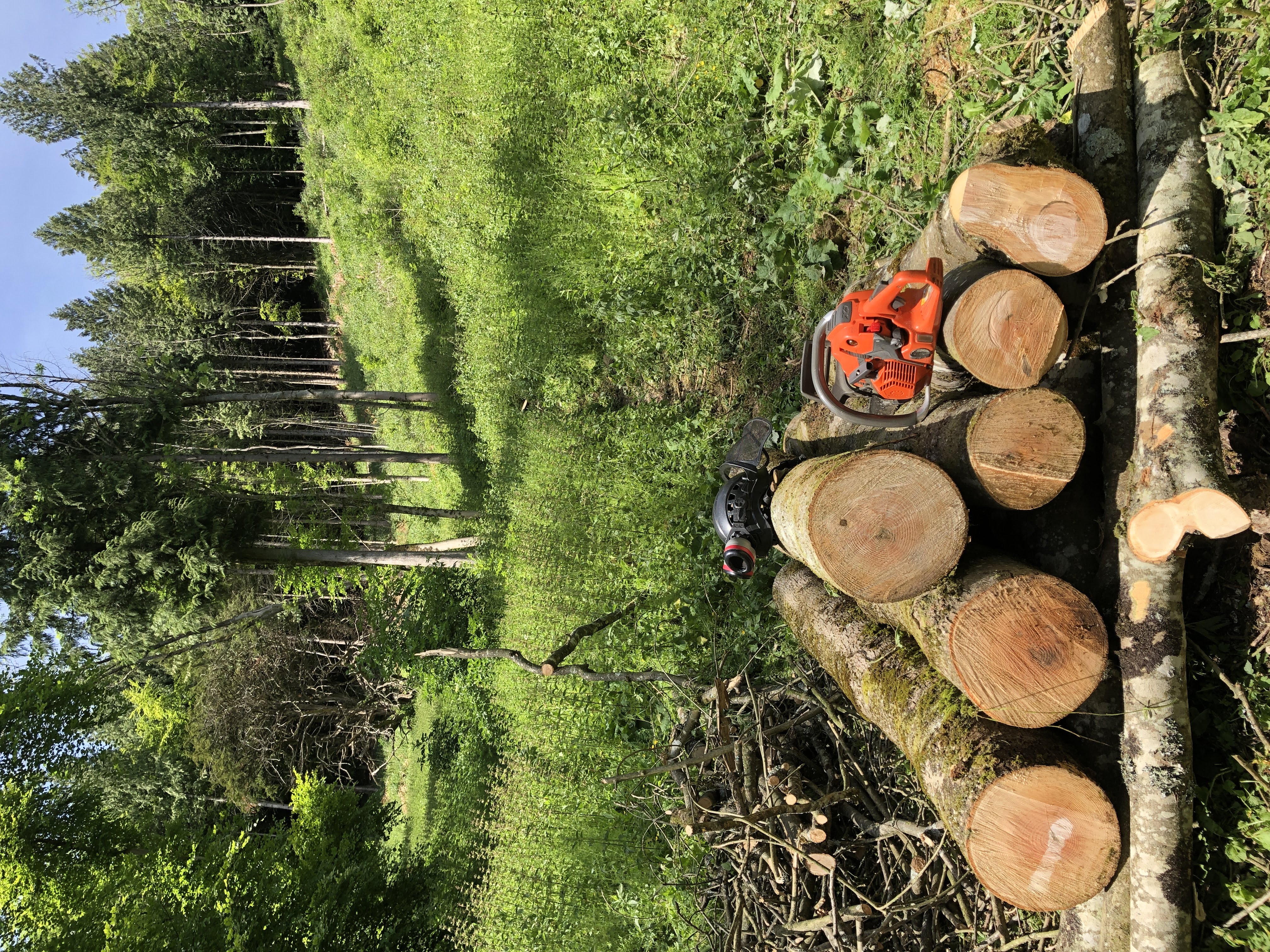 Chainsaw Maintenance and Cross-Cutting