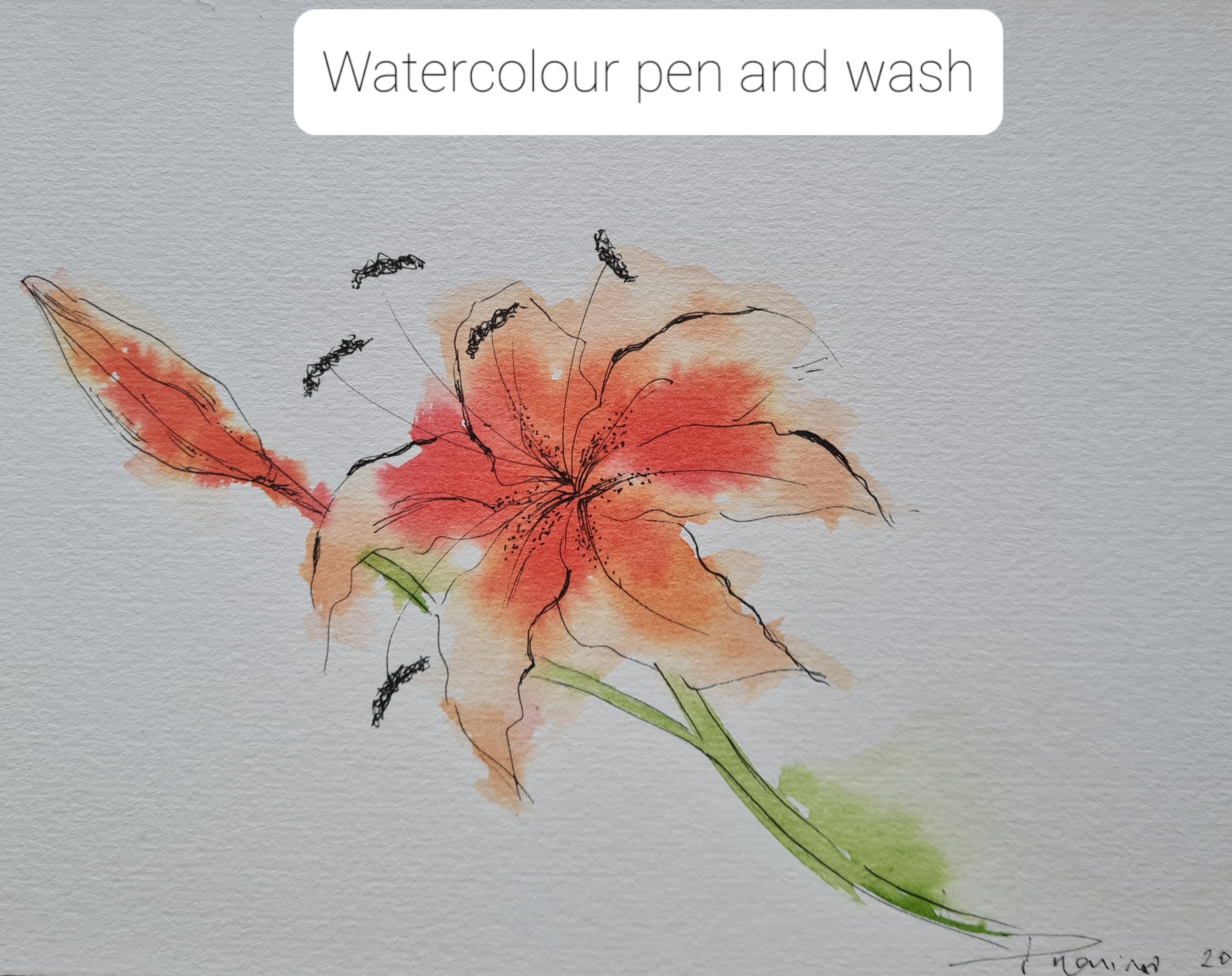 Watercolour for All 4 week Online Course Monday Morning Via Zoom