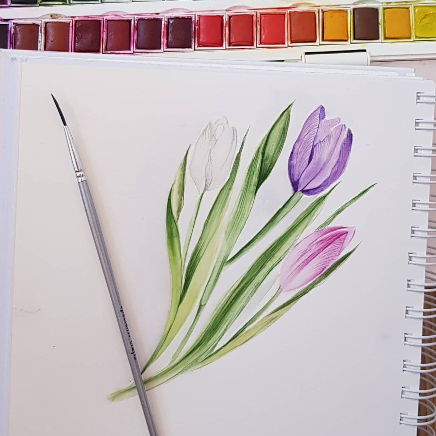 Watercolour Techniques for All - 4 week Online Course Tuesday Evenings Via Zoom