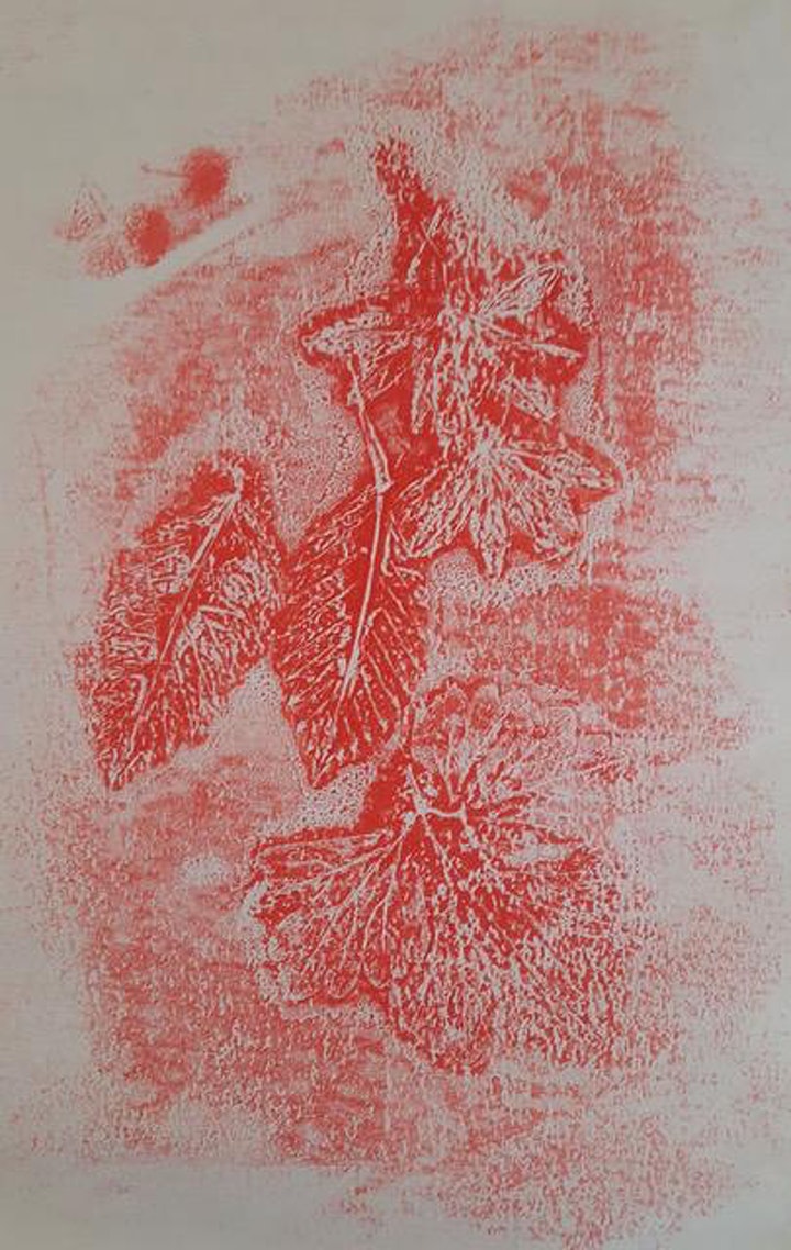 Patterns in Nature and Art online: Monoprinting with leaves