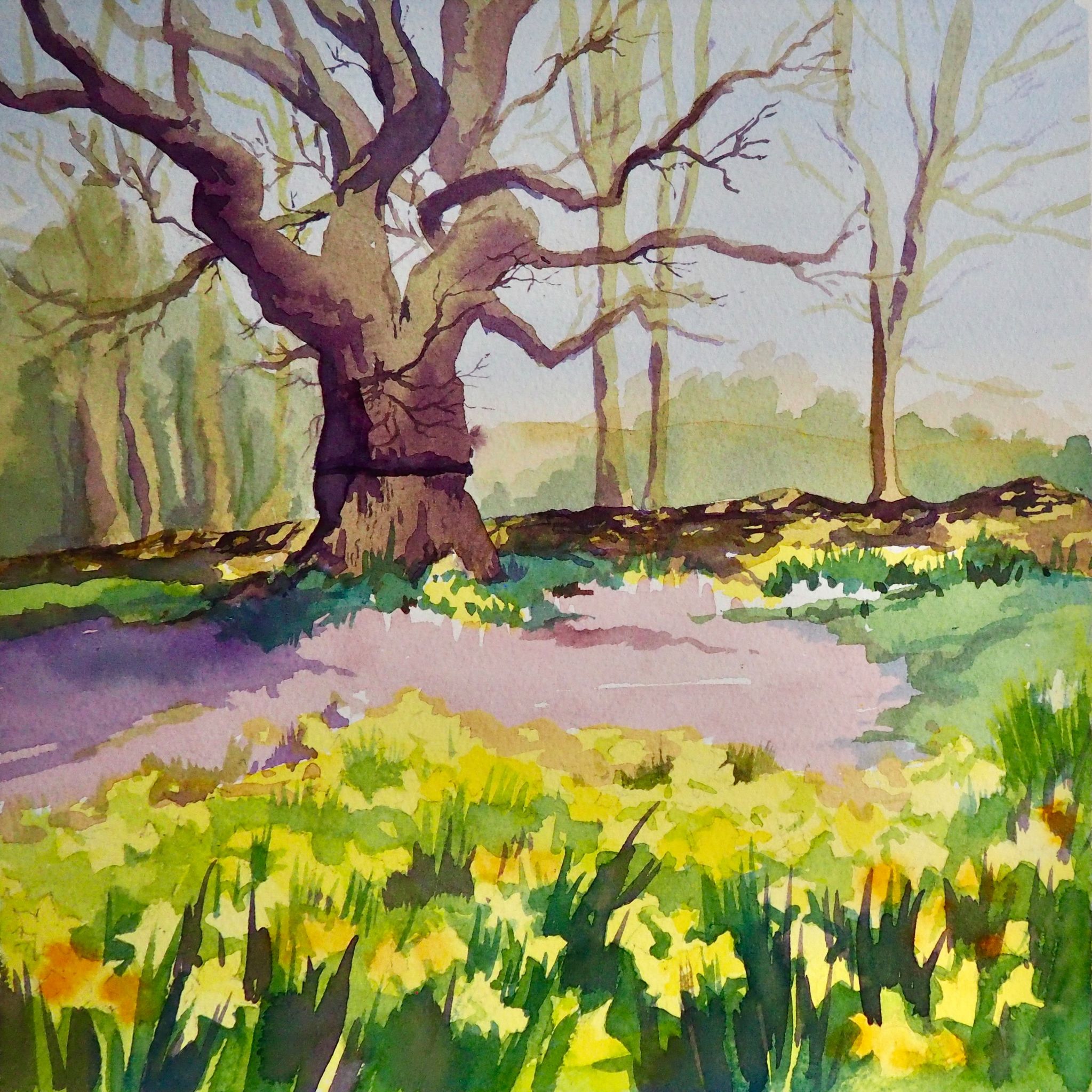 Watercolour workshops, beginners & intermediate with Frances Douglas