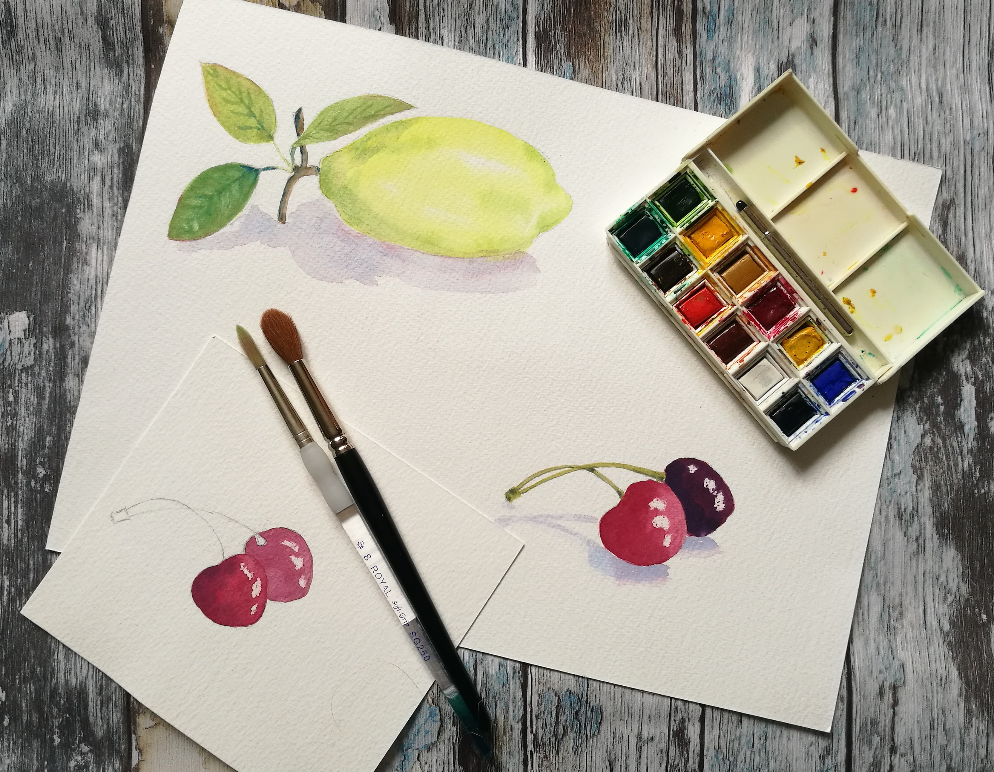 Watercolour beginners on demand course