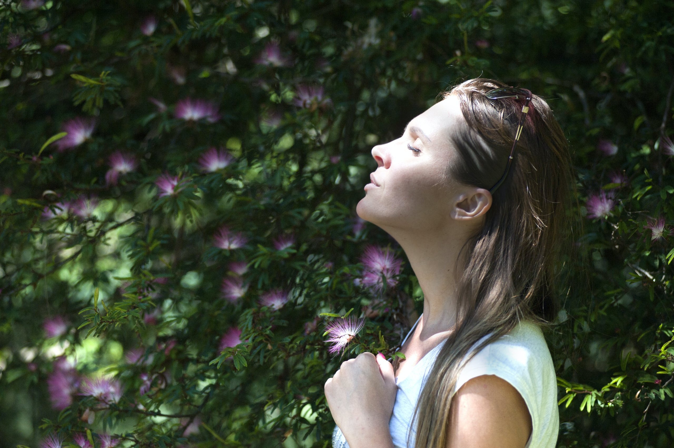 Breathwork Facilitator Training