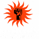 Revolution Martial Arts Academy logo