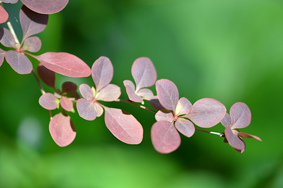 One week - Online introduction to Mindful Photography with Rebecca