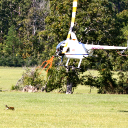 Dragonfly Aviation Training logo