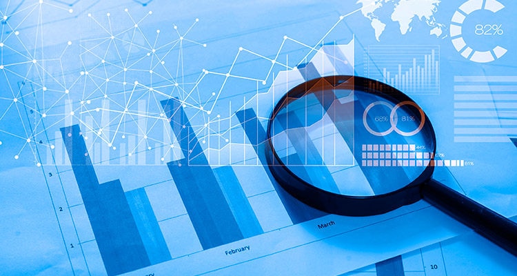 Portfolio Management. Fixed Income Investment